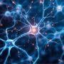 Focus su attività di neurogenetica e neurobiologia