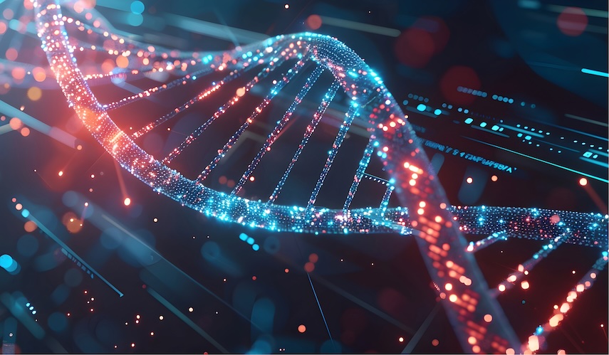 Le tre linee di ricerca del Meyer