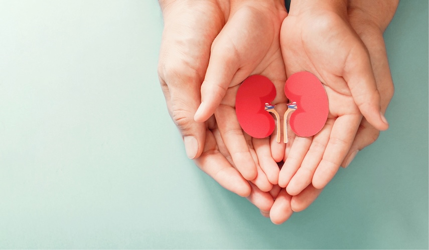 La nefrologia pediatrica del Meyer